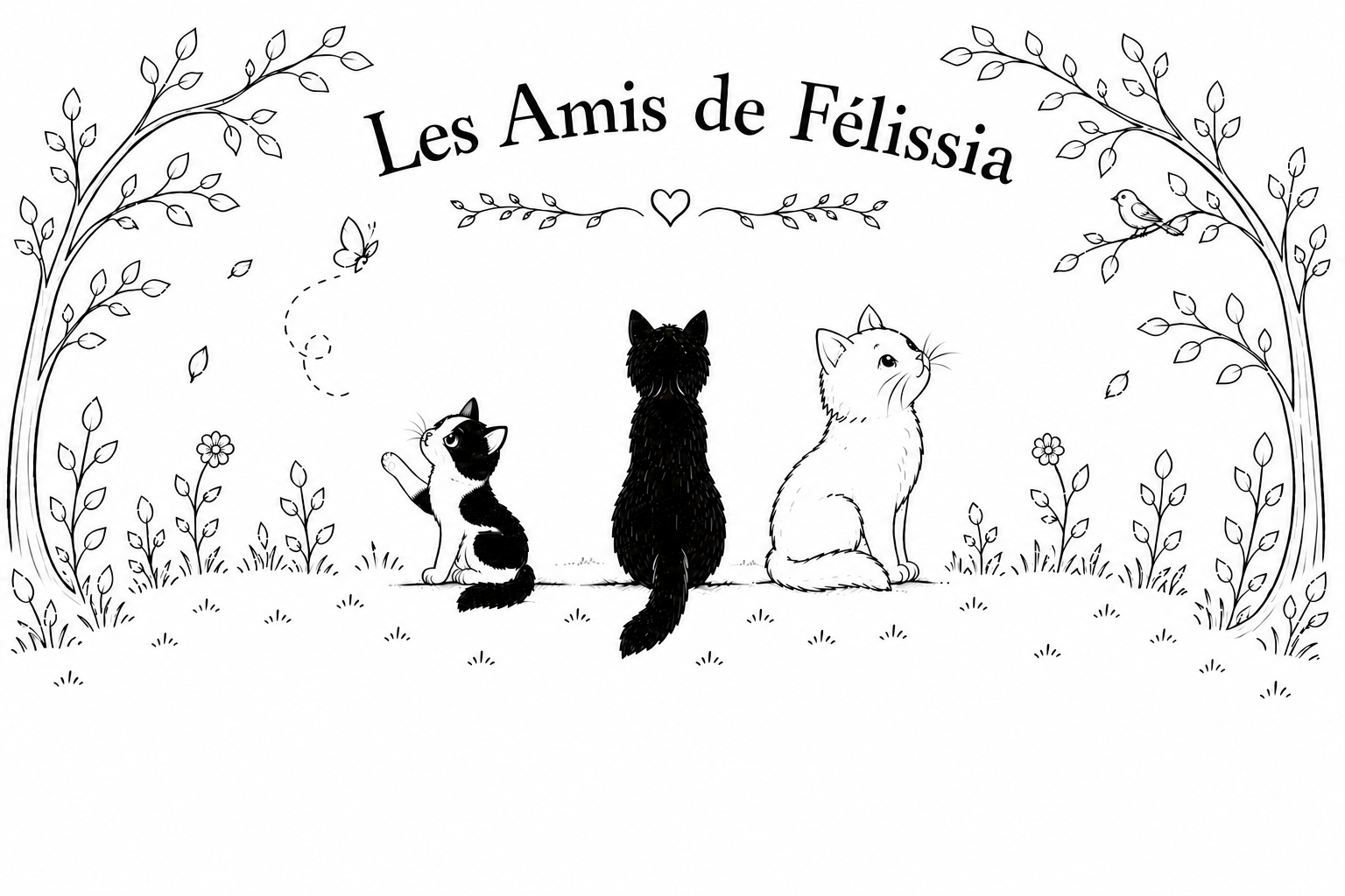 Félissia et 2 autres chats observent la nature