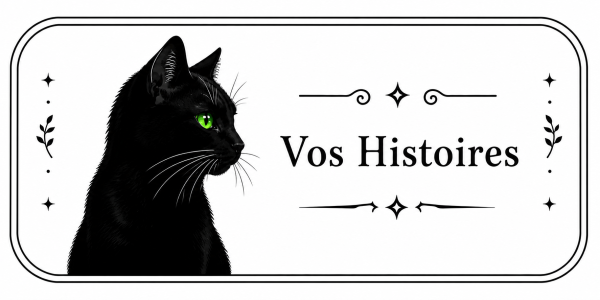 Chat noir yeux verts annonçant vos histoires