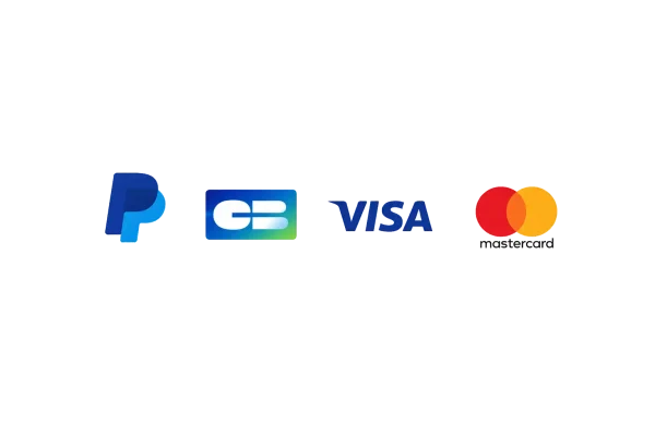 Widget 2. Logos paiements grand transparent